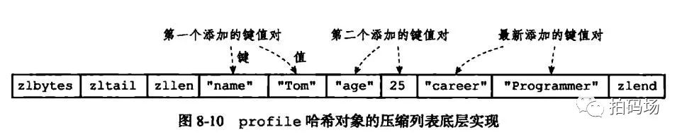 信也项目实战-Redis存储压缩方案